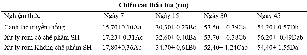 Đánh giá hiệu quả xử lý rơm trên đồng ruộng tới một số tính chất đất trong canh tác lúa hiện nay