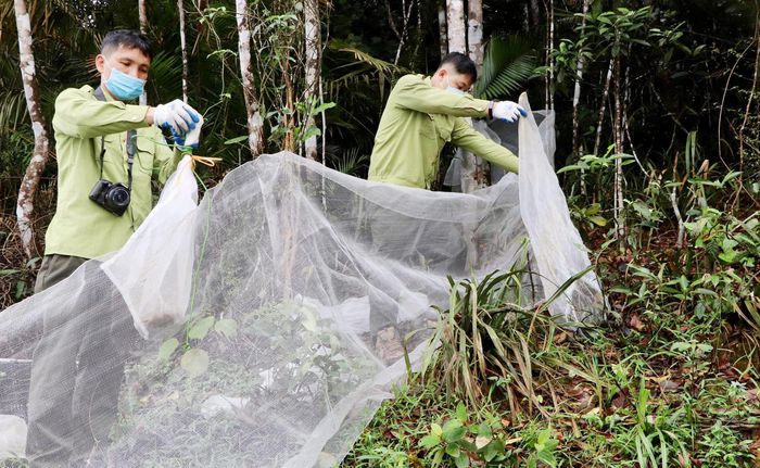 Hà Tĩnh: Thả 39 động vật hoang dã quý hiếm về môi trường tự nhiên