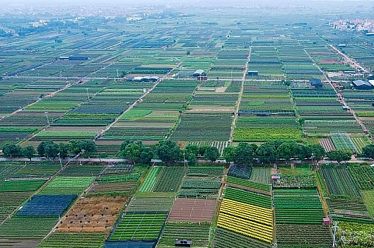 Phân quyền cho Hà Nội chuyển mục đích sử dụng đất trồng lúa, đất rừng