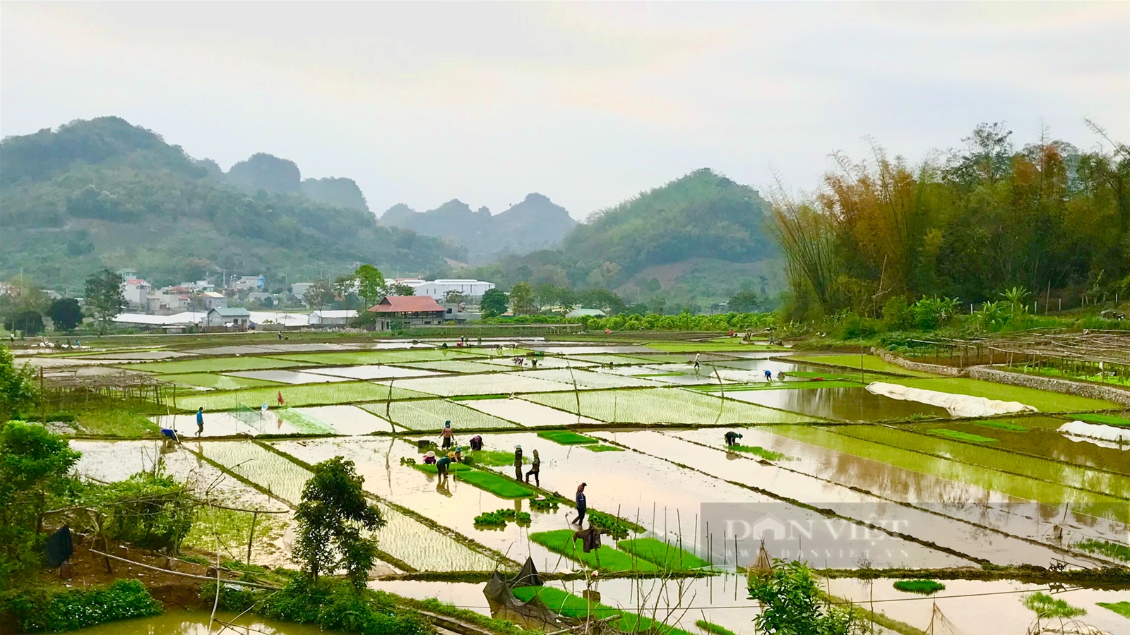 Dân bản vùng cao Sơn La dần hình thành các thói quen tốt về vệ sinh môi trường trong nông thôn mới