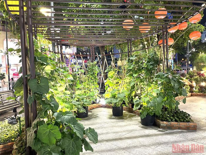 Đường hoa Nguyễn Huệ Tết Nhâm Dần chính thức mở cửa phục vụ người dân