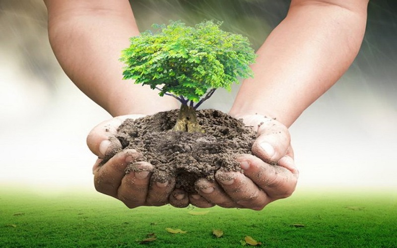 Một số vấn để khẩn cấp để làm hòa với thiên nhiên
