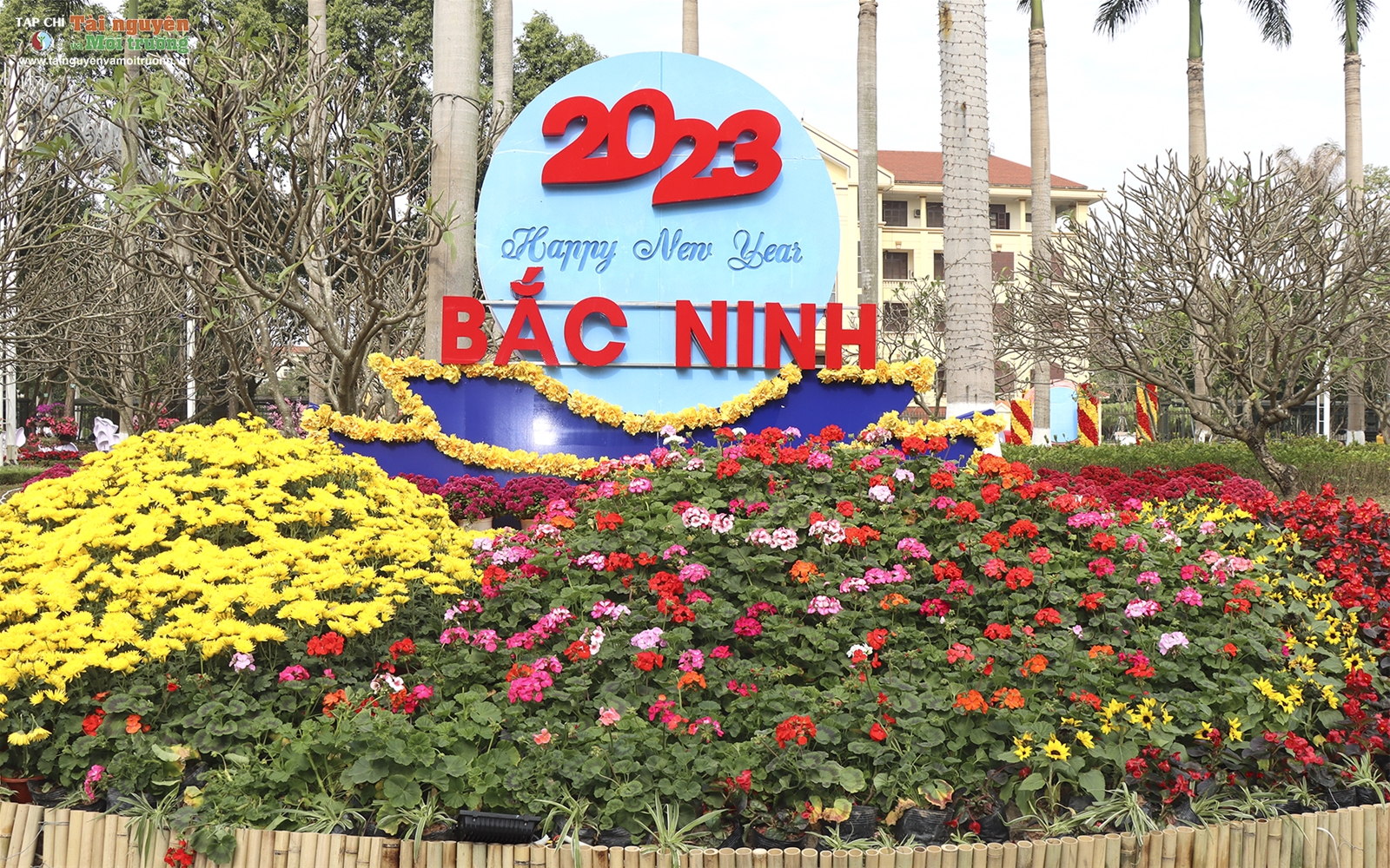 Bắc Ninh: Đường hoa Lý Thái Tổ chào Xuân Quý Mão năm 2023