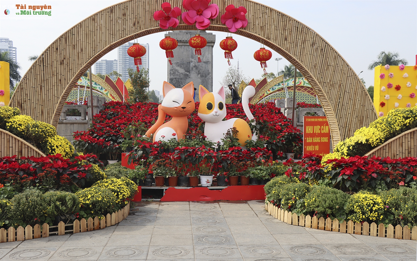 Bắc Ninh: Đường hoa Lý Thái Tổ chào Xuân Quý Mão năm 2023