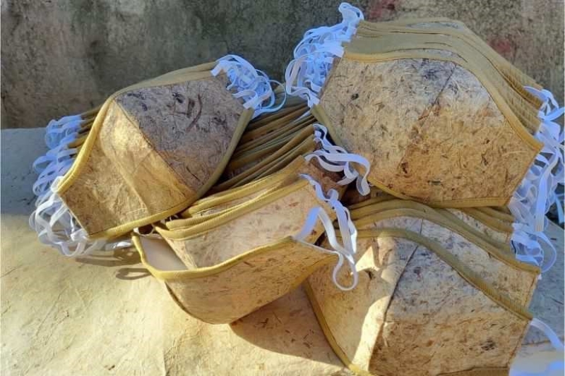 Chế tạo khẩu trang phân hủy sinh học từ sợi lá chuối bằng phương pháp ép nhiệt