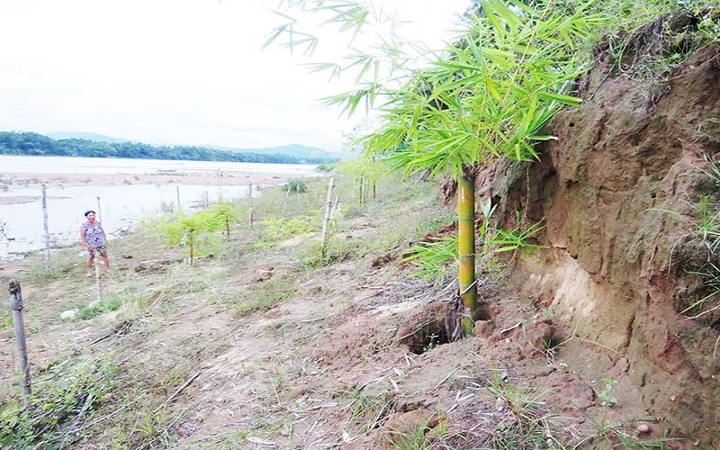 Cần có giải pháp khoa học hạn chế sạt lở cửa sông Vu Gia - Thu Bồn, tỉnh Quảng Nam