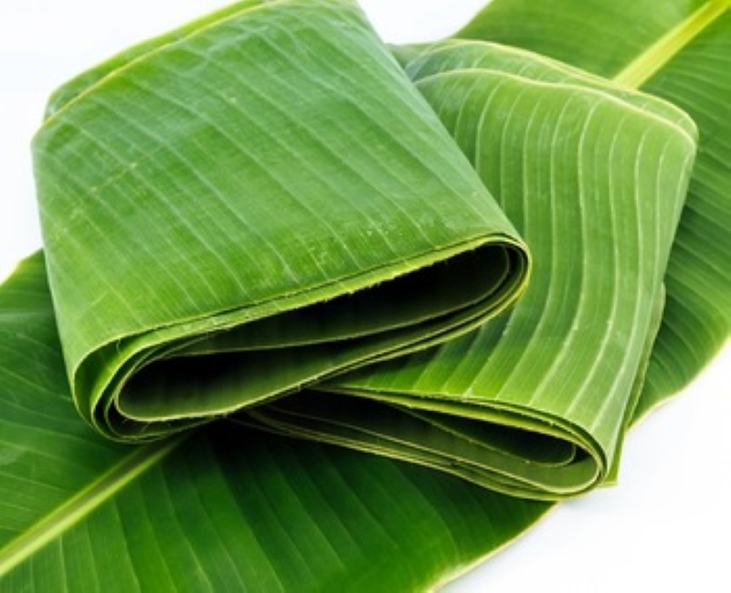Chế tạo khẩu trang phân hủy sinh học từ sợi lá chuối bằng phương pháp ép nhiệt
