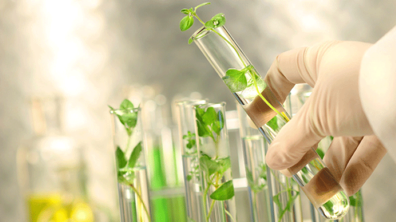 Nghiên cứu khoa học công nghệ góp phần quan trọng cho sự phát triển quản lý ngành Tài nguyên và Môi trường