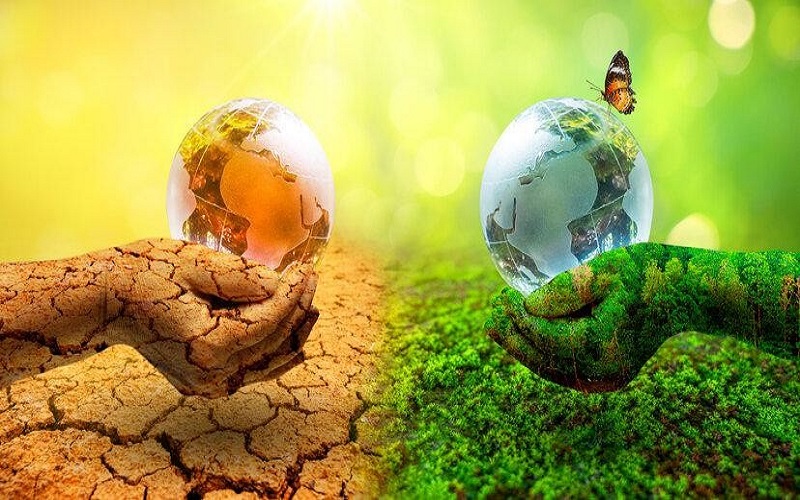 Một số vấn để khẩn cấp để làm hòa với thiên nhiên