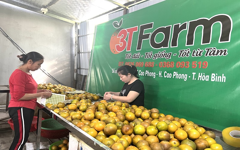 Vai trò của Hội Nông dân trong công tác bảo vệ môi trường