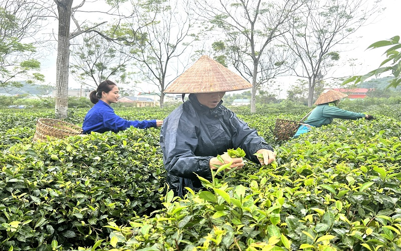 Vai trò của Hội Nông dân trong công tác bảo vệ môi trường