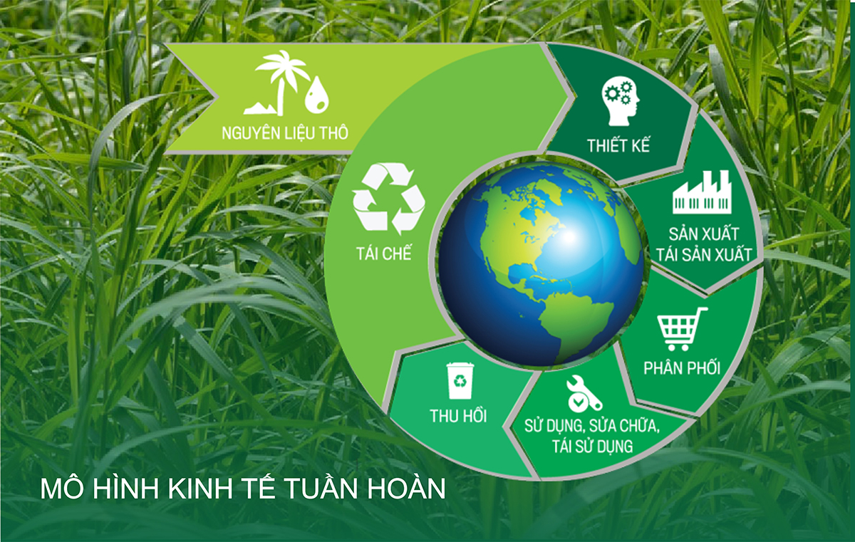 Kinh tế tuần hoàn: Chìa khoá cho phát triển bền vững
