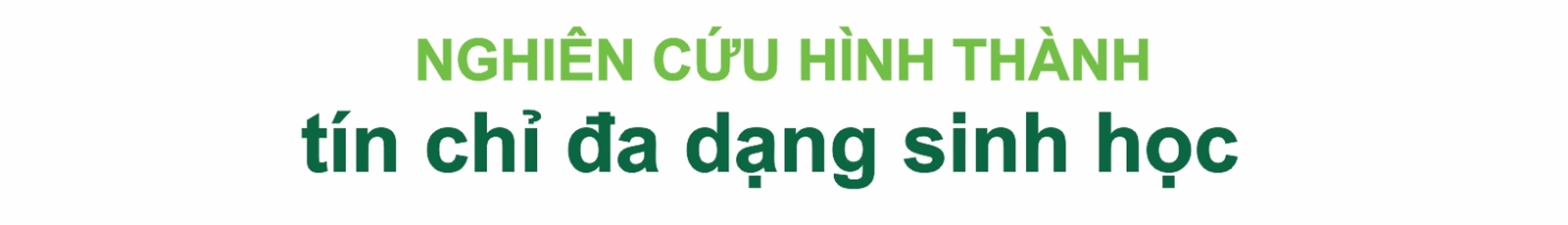 Kinh tế tuần hoàn: Chìa khoá cho phát triển bền vững
