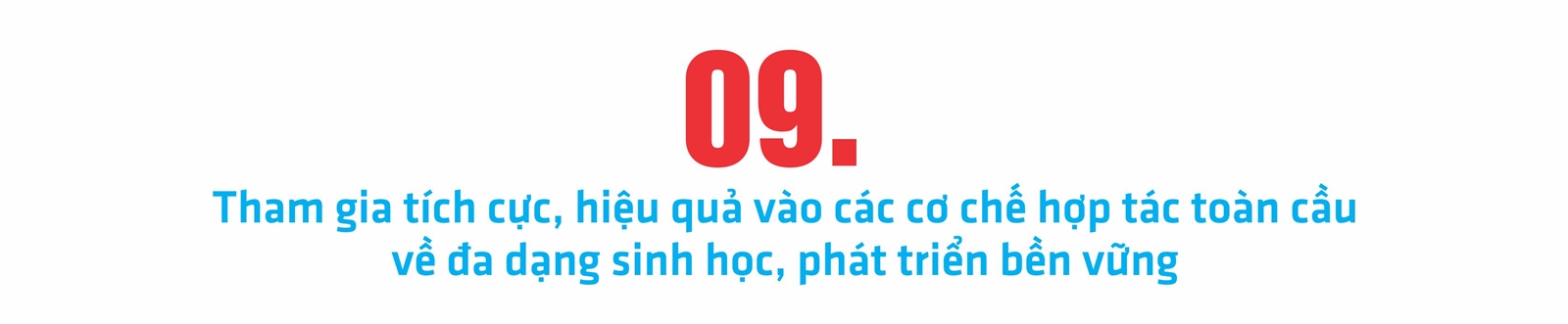 Công bố các sự kiện ngành tài nguyên và môi trường năm 2022