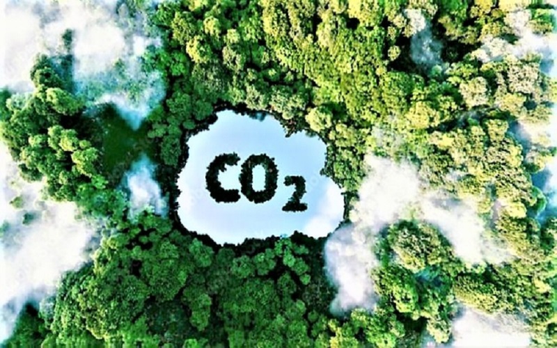 Lộ trình phát triển, thời điểm triển khai thị trường các-bon