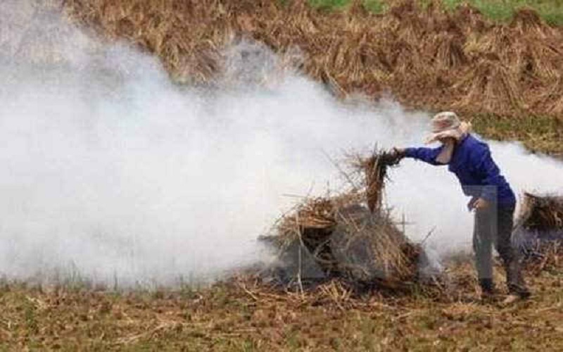Bàn các giải pháp giảm thiểu tác động của đốt lộ thiên và sử dụng hóa chất bảo vệ thực vật