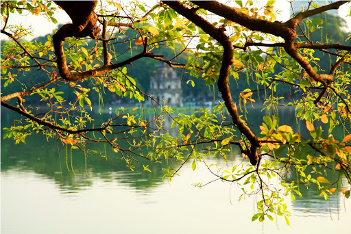 Thời tiết ngày 17/11: Cả 3 miền nắng nhẹ, miền Nam có mưa rào và dông