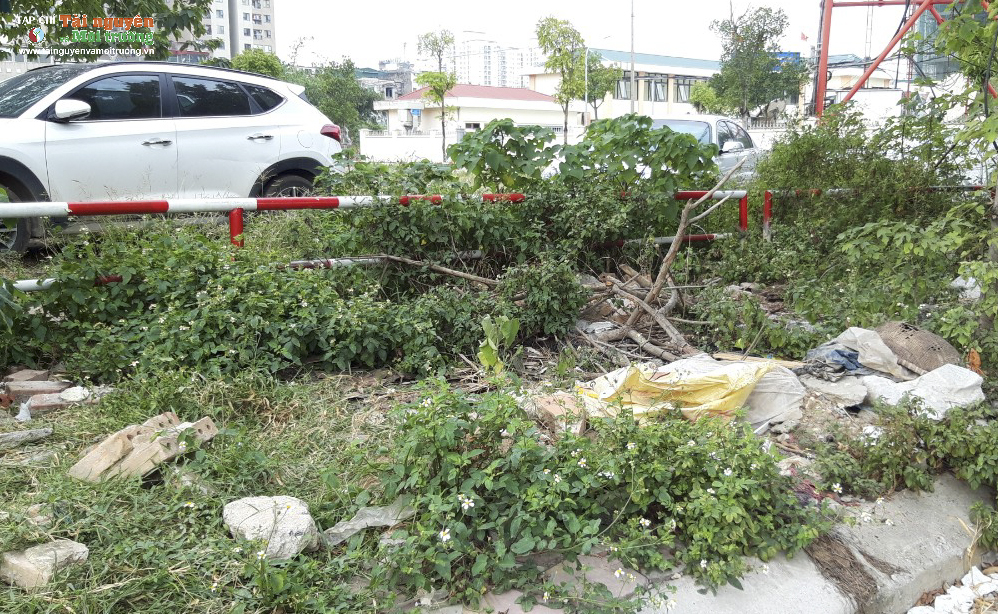 Lối vào tập thể VOV Mễ Trì, Hà Nội: Rác ngập tràn, ô nhiễm môi trường nghiêm trọng
