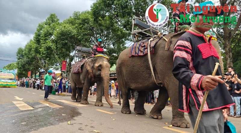 Đắk Lắk: Lễ hội Sầu riêng lần thứ II năm 2024, diễn ra với nhiều hoạt động ý nghĩa