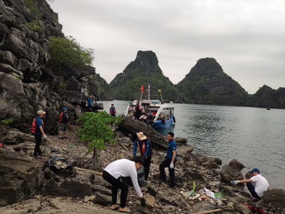 Ra quân thu dọn rác trên vịnh Hạ Long