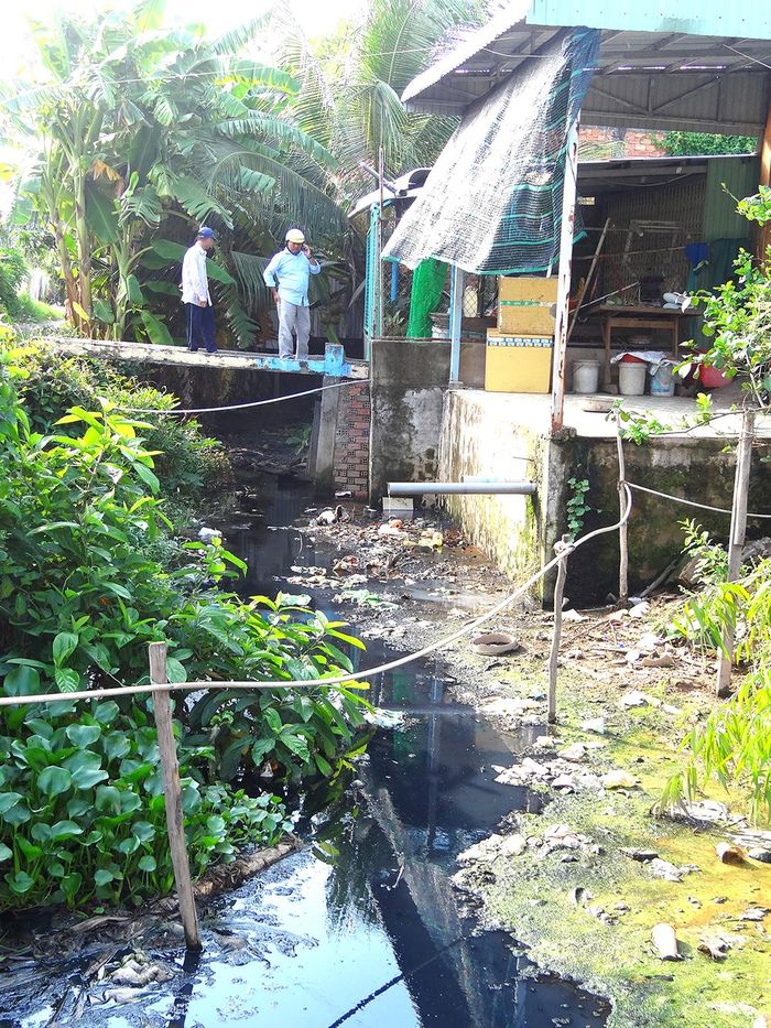 Người dân khổ vì cơ sở gây ô nhiễm nguồn nước