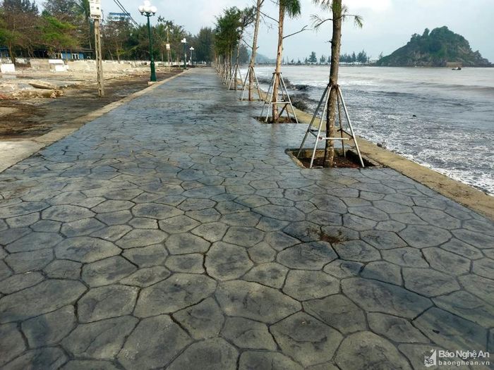 'Mùn biển' xâm nhập Cửa Lò, cảnh báo tình trạng rác thải đại dương