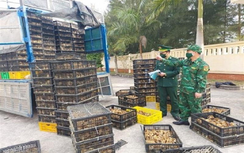 Đắk Nông: Quyết liệt xử lý những sai phạm gây ảnh hưởng đến môi trường