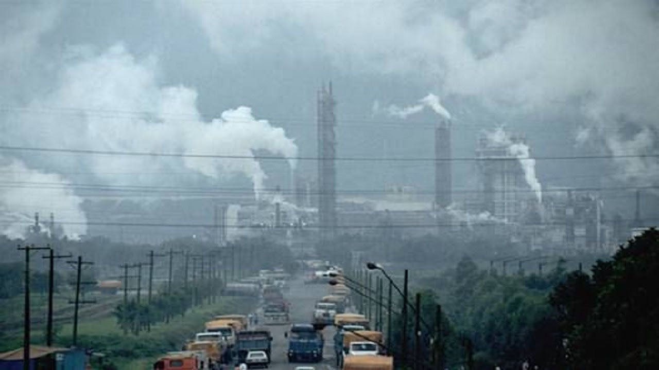 Chia sẻ kinh nghiệm, giải pháp thúc đẩy Net zero tại Việt Nam