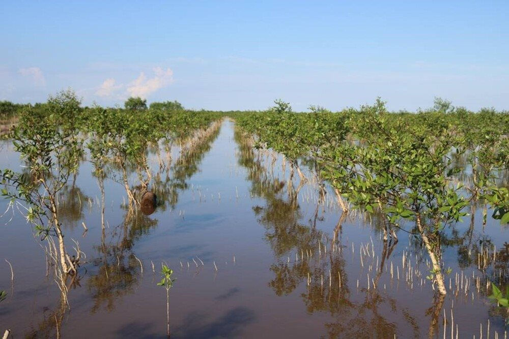 Thái Bình: Chủ động ứng phó biến đổi khí hậu