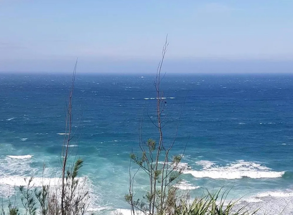 Quảng Ngãi: Nhiều ý kiến về xả thải của nhà máy Bột- Giấy VNT19.