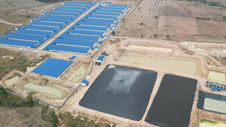 Gia Lai xử phạt 3 dự án chăn nuôi vi phạm quy định về môi trường