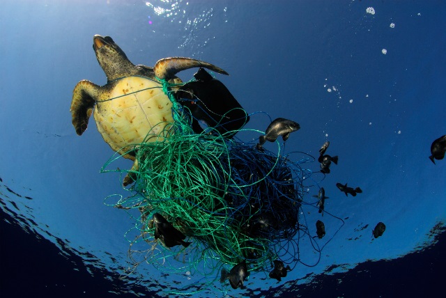 WWF kêu gọi khẩn cấp xây dựng Hiệp ước quốc tế về rác thải nhựa
