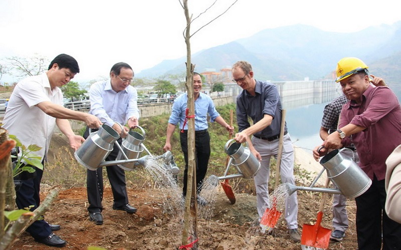 Đầu năm kêu gọi trồng cây!