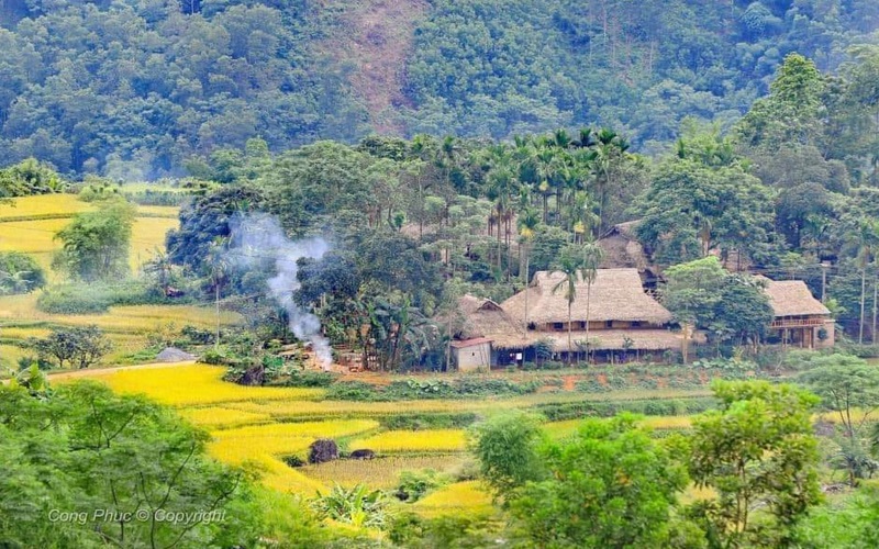 Thanh Hóa: Rà soát, xác định diện tích rừng tự nhiên để chi trả giảm phát thải khí nhà kính vùng Bắc Trung Bộ