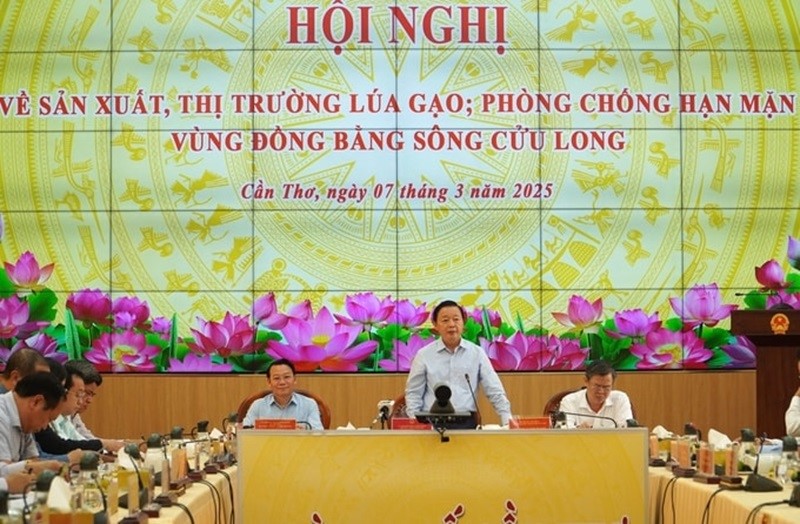 Phó Thủ tướng Trần Hồng Hà: Nâng chất lượng, tính chuyên nghiệp trong xuất khẩu gạo