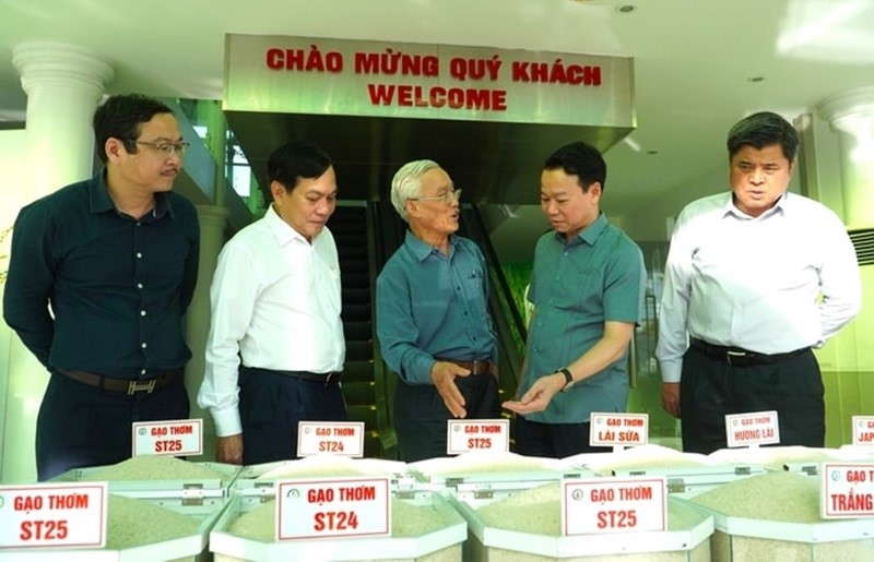Phó Thủ tướng Trần Hồng Hà: Nâng chất lượng, tính chuyên nghiệp trong xuất khẩu gạo