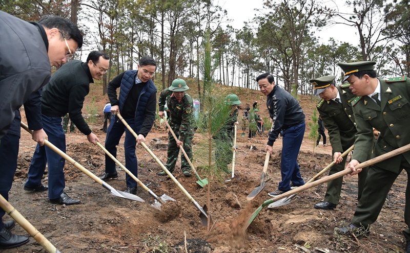 Phó Thủ tướng Trần Hồng Hà tham gia Tết trồng cây nhớ ơn Bác Hồ