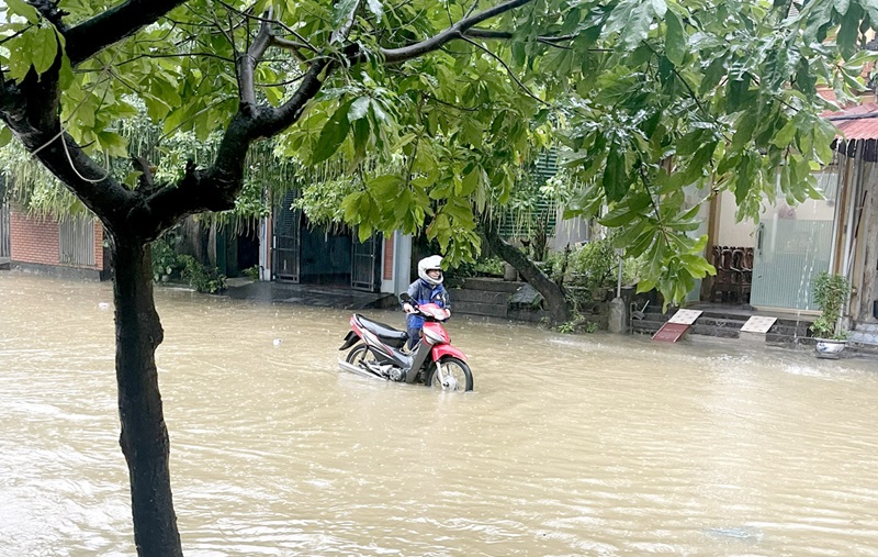 Hà Giang: Mưa lớn gây ngập úng cục bộ, thiệt hại tại một số địa phương