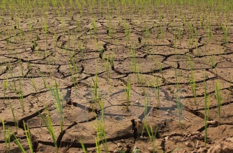 Hạn hán ở Tây Nguyên và Nam Bộ có khả năng chấm dứt vào nửa cuối tháng 5