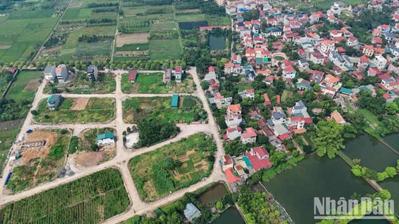Có hiện tượng đầu cơ, thao túng giá khi tham gia đấu giá đất ở địa phương