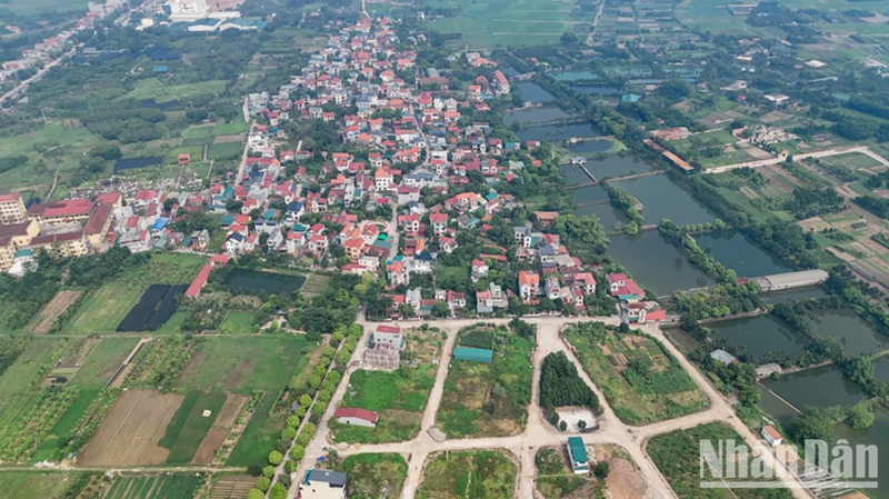 Có hiện tượng đầu cơ, thao túng giá khi tham gia đấu giá đất ở địa phương