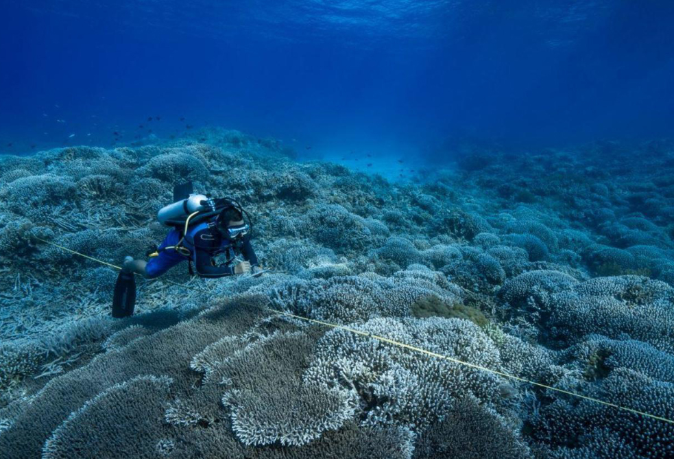 Việt Nam ký hiệp định mang tính lịch sử về biển cả