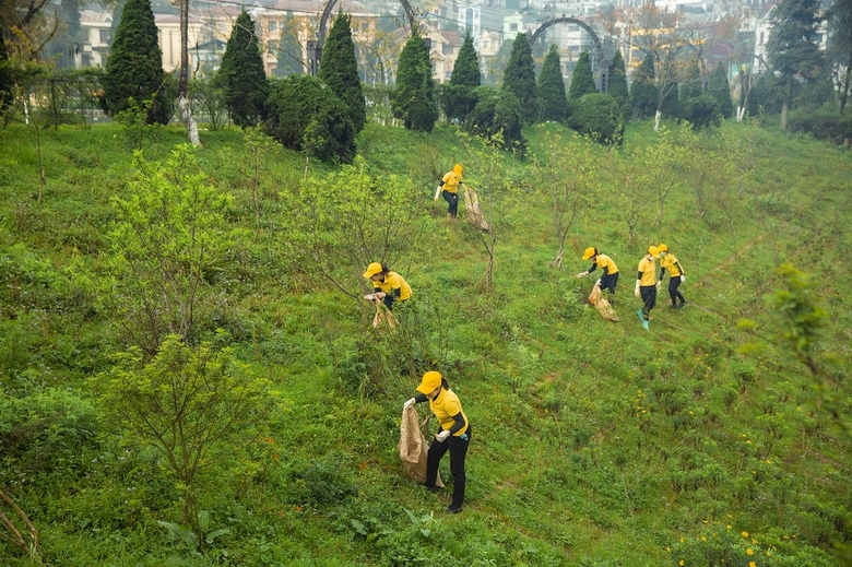 Lào Cai tổ chức nhiều hoạt động hưởng ứng Ngày Quốc tế đa dạng sinh học và Ngày Môi trường thế giới