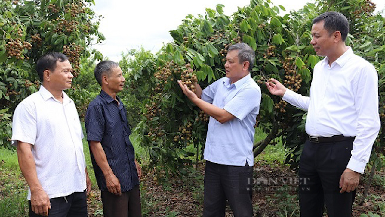 Dân bản vùng cao Sơn La dần hình thành các thói quen tốt về vệ sinh môi trường trong nông thôn mới