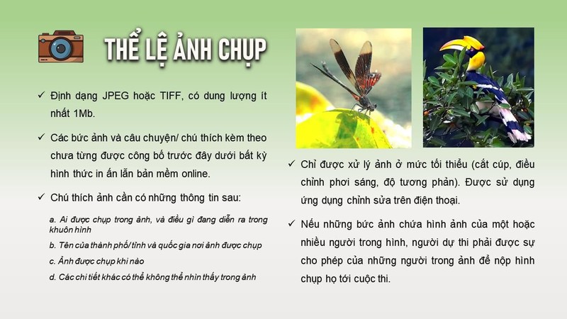 Vườn quốc gia Cát Tiên tổ chức cuộc thi vẽ tranh, chụp ảnh về động vật hoang dã