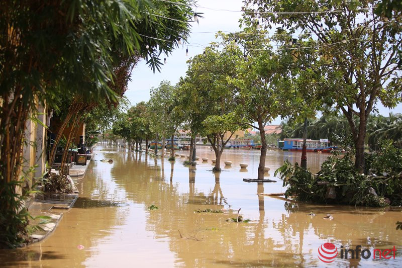Du khách cùng người dân Hội An xắn tay dọn bùn, rác ngay khi lũ rút