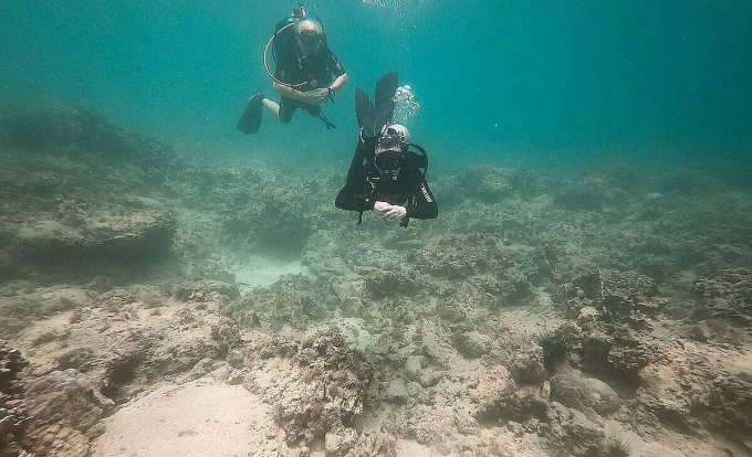 San hô ở vịnh Nha Trang chết hàng loạt