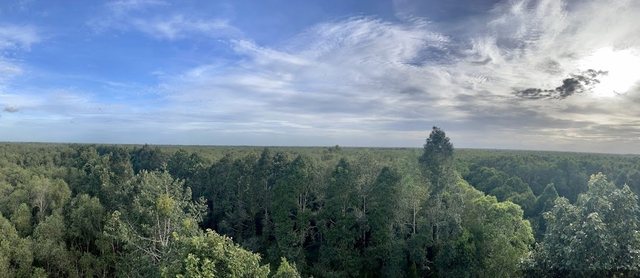 Thủ tướng khảo sát khu bảo tồn thiên nhiên độc đáo hàng đầu tại ĐBSCL