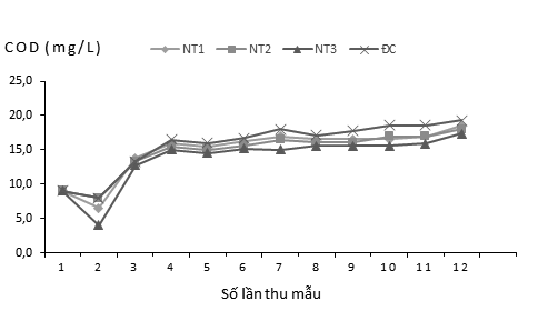 Đánh giá ảnh hưởng của Bacillus subtilis chất lượng môi trường nước và tăng trưởng của tôm thẻ chân trắng