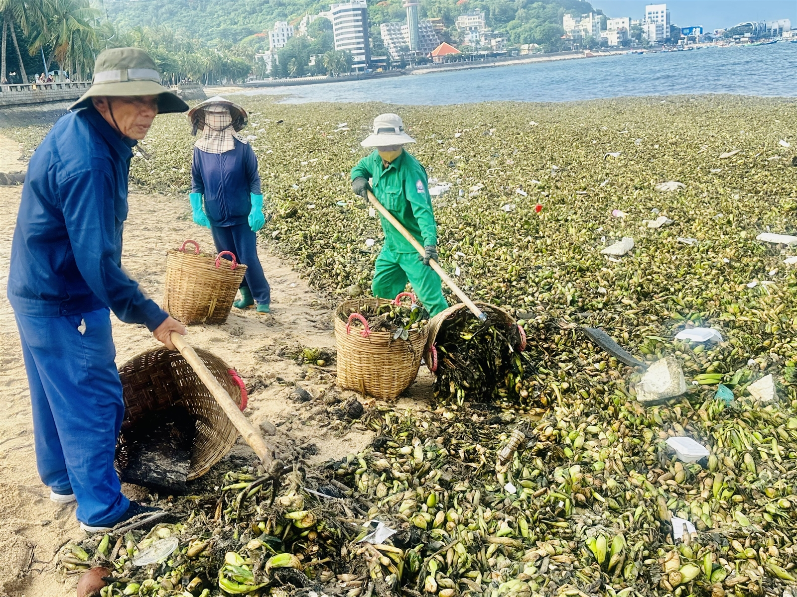 Tập trung ứng phó biến đổi khí hậu